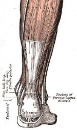 achilles tendon treatment 4